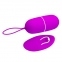 Віброяйце Pretty Love Arvin Vibrating Egg (6603BI0268) 0