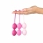 Набор вагинальных шариков для продвинутых FeelzToys - FemmeFit Advanced Pelvic Muscle Training Set (SO5067) 7