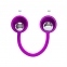 Вагинальные шарики Pretty Love Kegel Ball III Purple (6603BI1155) 0