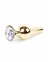 Анальна пробка з каменем Plug-Jewellery Gold BUTT PLUG- Clear (BS6400066) 0