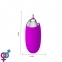 Виброяйцо Pretty Love Berger Vibrating Egg Purple (6603BI0513) 5