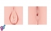Мастурбатор Hera Hip Real 5
