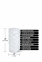 Мастурбатор HAPPY ENDING PLEASURE PACKAGE (T880135) 1