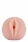 Мастурбатор вагіна з вібрацією Dream Toys THE GIRL NEXT DOOR TRACEY (DT21927) 2