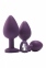 Набор анальных пробок Dream Toys FLIRTS PURPLE (DT21884) 2