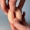 Мастурбатор Alive Vaginal Mini Masturbator (Flesh) (SO6327) 2
