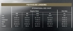 Трусики Penthouse - Too hot to be real Wine M/L (SO6508) 1