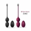 Вагінальні кульки Dorcel LOVE BALLS PLUM, вібрації та рухи внутрішньої кульки, пульт ДК (SO7388) 5
