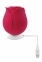Вакуумный клиторальный стимулятор ADAM ET EVE EVE'S RAVISHING ROSE CLIT PLEASER (T840728) 5