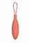 Виброяйцо с дистанционным управлением Dream Toys CHARISMATIC CELIA (DT21805) 1