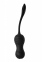Виброяйцо с пультом управления Dream Toys DARK DESIRES VIRGINIA (DT21972) 0