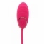 Виброяйцо с дистанционным управлением Toy Joy (TJ10526) 3