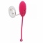 Виброяйцо с дистанционным управлением Toy Joy (TJ10526) 4