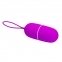 Виброяйцо Pretty Love Arvin Vibrating Egg (6603BI0268) 2