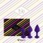 Набір силіконових анальних пробок FeelzToys - Bibi Butt Plug Set 3 pcs Purple (SO5064) 3