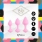 Набір силіконових анальних пробок FeelzToys - Bibi Butt Plug Set 3 pcs Pink (SO4576) 1
