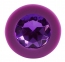 Анальна пробка з каменем You2Toys Colorful Joy Jewel Purple Plug Medium (517160) 2