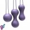 Набор вагинальных шариков Je Joue - Ami Purple 1