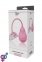 Вібропомпа для вагіни DREAM TOYS VIBRATING VAGINA PUMP (DT21421) 0
