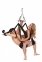 Качели для секса WHIPSMART YOGA PLEASURE SWING BLACK (T160610) 2
