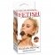 Кляп Fetish пластиковый, с ремешком из экокожи, черный (PD217200) 0