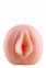 Мастурбатор вагина Dream Toys THE GIRL NEXT DOOR SCARLETT (DT21920) 2