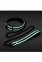 Ошейник с поводком, светятся в темноте NS Novelties GLO BONDAGE COLLAR AND LEASH GREEN (T280848) 0