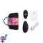 Вибратор в трусики FeelzToys Panty Vibrator Black с пультом ДУ, 6 режимов работы, сумочка-чехол (SO3851) 4