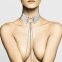 Украшение Bijoux Indiscrets Desir Metallique Collar - Silver (SO5919) 0