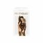Бодістокінг Penthouse - Magical mistress Black XL (SO6464) 1
