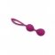 Вагінальні кульки Wooomy Taradiddle Magenta Kegel Ball (SO7413) 0