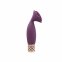Вібратор Pillow Talk Secrets - Passion - Clitoral Vibrator - WINE (SO8246) 1