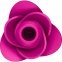 Вакуумный клиторальный стимулятор Satisfyer Pro 2 Modern Blossom (SO8776) 2