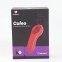 Вібратор в трусики Fun Town Caleo (SO8918) 5