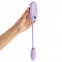 Вакуумный клиторальный стимулятор Otouch Louis Vibrate Purple с виброяйцом, в кейсе (SO9430) 1