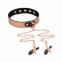 Ошейник с зажимами для сосков Liebe Seele Rose Gold Memory Collar with Nipple Clamps (SO9495) 6