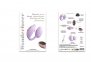 Виброяйцо с вакуумной клиторальной стимуляцией Love To Love Wonderlover VIVA MAUVE (SO9615) 5