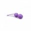 Вагинальные шарики двойные Purple Double Vagina Balls (ET27016) 0