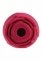 Вакуумный клиторальный стимулятор ADAM ET EVE EVE'S RAVISHING ROSE CLIT PLEASER (T840728) 6