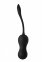 Виброяйцо с пультом управления Dream Toys DARK DESIRES VIRGINIA (DT21972) 2