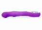 Вибратор для точки G-spot Vibrator G-spot 10 functions USB Purple (22-00055) 5