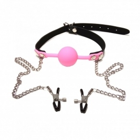 Кляп с зажимами на соски DS Fetish Locking gag with nipple clamps black/pink (221303054)