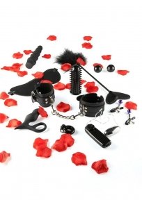 Набір секс іграшок Toy Joy Amazing Pleasure Sex Toy Kit (TJ10432)