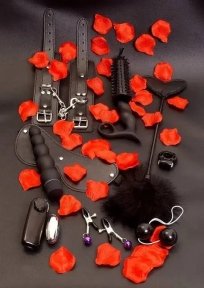 Набір секс-іграшок та атрибутів БДСМ TOY JOY 10 предметів, чорний (TJ10438)