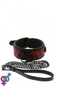 Нашийник з повідцем BLAZE DELUXE COLLAR & LEASH (DT21534)