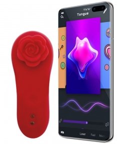 Вібратор в трусики Fun Town Caleo (SO8918)