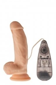 Вибратор с присоской Dream Toys MR.DIXX BRAVE BOSS 6,9' VIBRATING DILDO (DT21932)