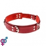 Ошейник Slave leather collar,red (KVL-280241)
