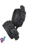 Наручники BLAZE ANKLE CUFF BLACK (DT21263)