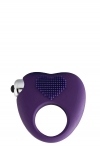 Эрекционное кольцо с вибрацией Dream Toys FLIRTS COCKRING PURPLE (DT21893)